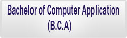 BCA, Bachelor of Computer Application